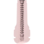 Sentire Generico Stroker Pallido - Kiiroo - immagine 5