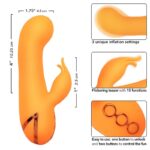 Montecito Muse Vibratore Rabbit Orange By California Dreaming - Calexotics - immagine 7