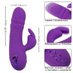 Manhattan Beach Marvel Vibratore Rabbit Viola Di California Dreaming - Calexotics - immagine 7