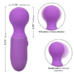 First Time Massaggiatore Ricaricabile 10 Vibrazioni Viola - Calexotics - immagine 8