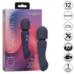 Charisma Allure Massaggiatore Doppio Motore 12 Funzioni 17,25 Cm X 4,5 Cm Viola - Calexotics