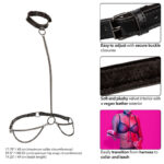 Euphoria Collare A Catena E Guinzaglio - Calexotics - immagine 3
