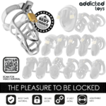 Gabbia Per Pene In Metallo Con Bloccaggio Argento Taglia S - Addicted Toys Locked - immagine 7