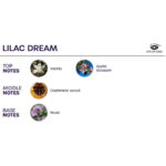 Bloom Spray Per Ambienti Indica Lilac Dream 150 Ml - Eye Of Love - immagine 3