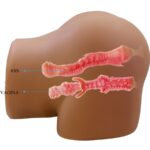Geriann Vibratore E Succhiatore Realistico Per Polso Femminile Con Suono 5,5 Kg - Crazy Bull - immagine 7