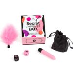 Pleasures Box  Per Coppie: Dadi, Proiettile Vibrante E Piuma - Secretplay - immagine 2